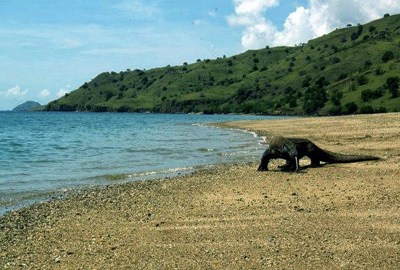 Pulau Komodo