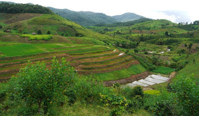 thailand tourism nan pu tiger