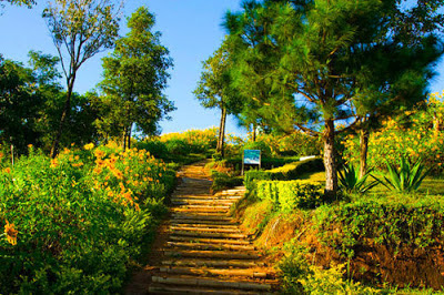 thailand tourism Doi Mae Hua Kham.