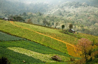 thailand tourism Phu Thap Boek